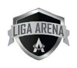 liga arena
